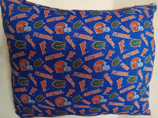 Florida Gators Decorative Pillow